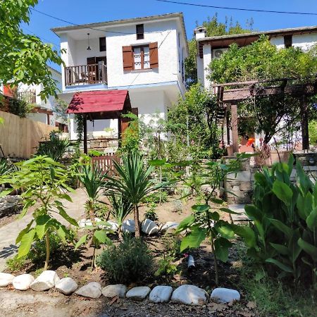 חורפטו Flower House מראה חיצוני תמונה