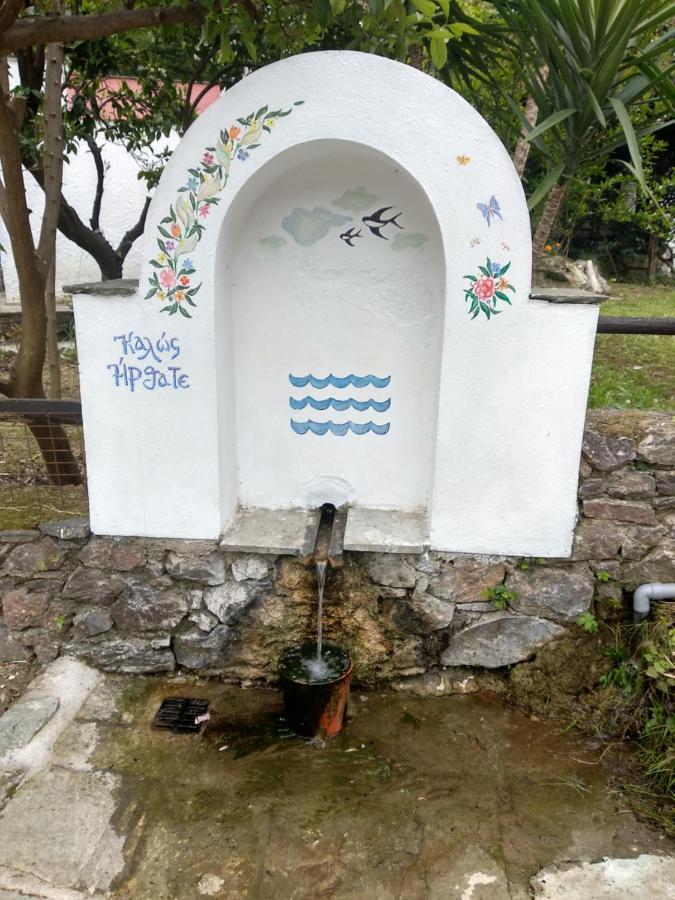 חורפטו Flower House מראה חיצוני תמונה