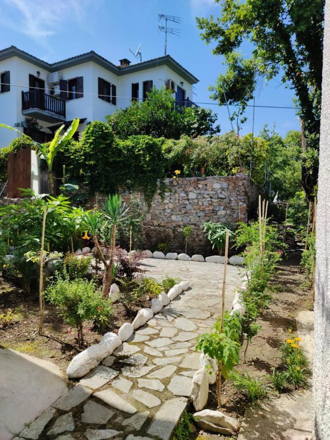 חורפטו Flower House מראה חיצוני תמונה